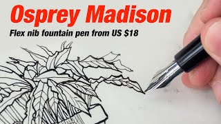 Osprey Madison flex nib fountain pen review [upl. by Prudie]