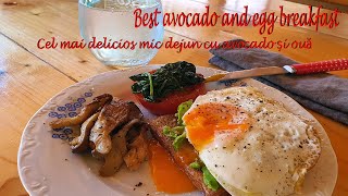 2 idei de micdejun lactogenic cu avocado și ouă2 lactogenic breakfast ideas with avocado and eggs [upl. by Kellsie]