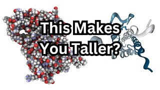 How To Grow Taller Full Growth Hormone Optimization For Height [upl. by Ahsienel664]