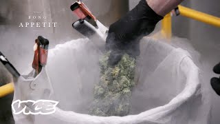 I Freeze Weed With Liquid Nitrogen for a Living [upl. by Kcaz546]