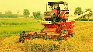 आइए देखते हैं धान किस प्रकार Mahindra harvastar से कटाई किया जा रहा है yotubeviralvideo tranding [upl. by Ephrayim851]