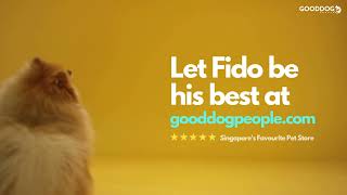 Singapores Favourite Online Pet Store  gooddogpeoplecom  Trusted By 40000 Dog Owners [upl. by Adirem]