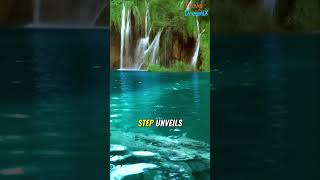 8 Plitvice Lakes A Natural Wonderland You Need to See [upl. by Hemetaf]