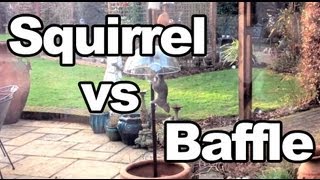 Squirrel vs AntiSquirrel Baffle [upl. by Leatri41]