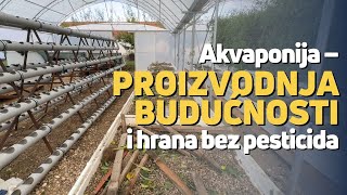 Akvaponija – proizvodnja budućnosti i hrana bez pesticida [upl. by Eimmot]