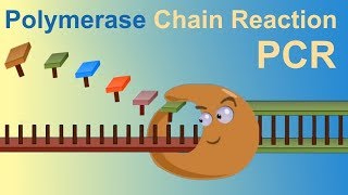 HOW TO DO POLYMERASE CHAIN REACTION PCR [upl. by Gnurt]