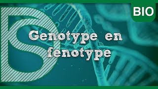 Examen biologie  Genotype en fenotype Erfelijkheid [upl. by Ogata]