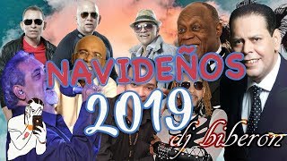 Merengue Navideños Mix 2019  Fernando Villalona Johnny Ventura Los Hermanos Rosario y Mas [upl. by Haggai130]