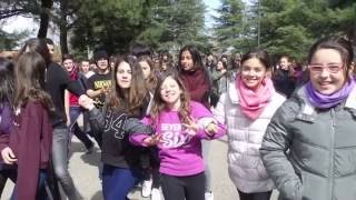 Resumen Actividades IES La Senda 2016 [upl. by Ibur]