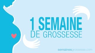 1 semaine de grossesse  Semaine 1 de grossesse  La grossesse semaine par semaine [upl. by Anah]