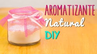 Aromatizante Natural Casero  En 5 minutos  Receta Fácil  Mini Tip 51 [upl. by Tri]