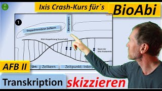 Transkription 5 Skizzieren Transkription mithilfe eigener Skizzen erläutern  in Skizzen darstellen [upl. by Enimrac]