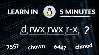 Linux File Permissions in 5 Minutes  MUST Know [upl. by Ivzt]