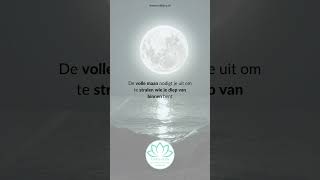 De volle maan nodigt je uit om te stralen wie je diep van binnen bent [upl. by Yevre333]