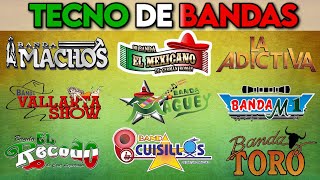 💃 Quebradita 90s Megamix  Tecnobandas de los 90s Banda Toro Banda Machos El Mexicano y Más [upl. by Sitnerp]