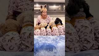 Dog Mom Goes Viral for Her Unique Nighttime Routine by Matching with Her Dogs in Horse Pajamas [upl. by Acie]