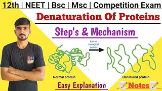 Denaturation Of Proteins In Hindi  Native Protein  Biochemistry  By Dadhich Sir [upl. by Bartholemy]