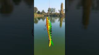 Crazy Fishing Lure🔥🎣 lure lurefishing fishing fishingvideo crazy pesca fish spinning shorts [upl. by Adnwahsor66]