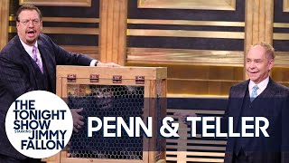 Penn amp Teller Give a Lesson in Misdirection Using a Vanishing Chicken [upl. by Wilfrid560]