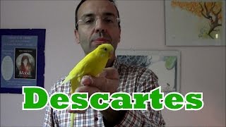 DESCARTES Y ALGÚN PÁJARO [upl. by Aibat427]