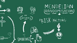 A two minute primer on mendelian randomisation [upl. by Imeka]