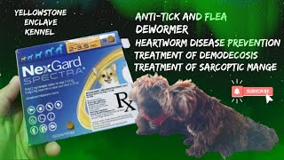 Nexgard Spectra for Dogs AntiTick and Flea Dewormer Broad Spectrum AntiParasitic [upl. by Zailer]