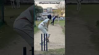 Off spinner what a Ball cricket [upl. by Vesta571]