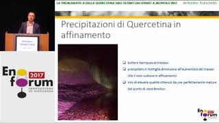 Esperienze di stabilizzazione della quercetina su Brunello di Montalcino [upl. by Aehtorod]