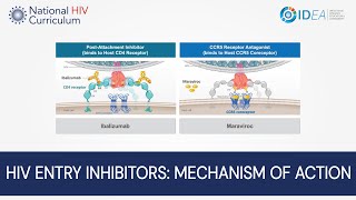 MiniLecture Series HIV Entry Inhibitors Mechanism of Action [upl. by Aimej]