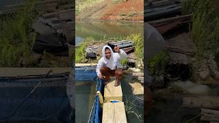 Part 2 candu banget mancing dikeramba mancing ikan riedwanrichie [upl. by Shult]