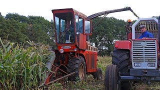 14 Classic Forage Harvesters  OldTimer Hakseldag Dalen 2018   Tillage bonus [upl. by Naujud]