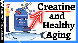 Creatine amp Healthy Aging Myth vs Reality [upl. by Alexi]