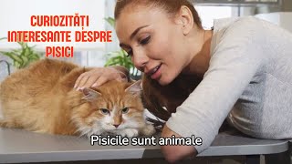 PISICILE  LUCRURI INTERESANTE DESPRE PISICI 😻 😼 😽 [upl. by Leirua]