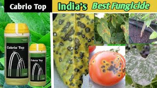 Cabrio Top Fungicide in Hindi  Cabrio Top Fungicide  Blite  Leaf spot [upl. by Demah352]