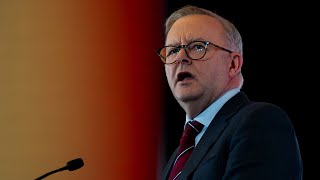 Coalition calls for Anthony Albanese to refer himself to NACC [upl. by Thin465]