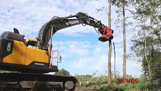 Cirkelzaag Bomengrijper  Groeneveldt Grijpers  Ufkes Greentec  Tree Felling [upl. by Solis]