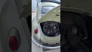 1963 VW RAGTOP BUG FOR SALE DM for more info vw ragtop forsale vwbug [upl. by Cosimo]