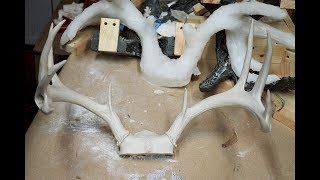 Molding And Casting My Whitetail Deer Antlers Part 4 [upl. by Cloutman]