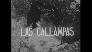 1958 IFUC Rafael Sánchez Las Callampas Toma población La Victoria 1957 HD [upl. by Ilatfan]