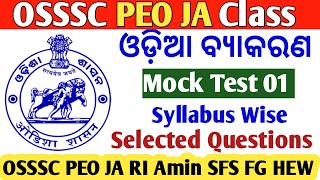 Odia Grammar Mock Test 🔥 Syllabus Wise Question  OSSSC PEO JA RI ARI AMIN SFS FG HEW AS Class [upl. by Friedland]