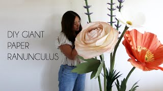 DIY Giant Paper Ranunculus Flower Backdrop How to make paper flowers [upl. by Ruddy]