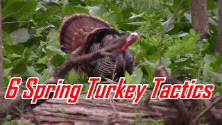 6 Spring Turkey Hunting Tactics To Get a Big GOBBLER [upl. by Roobbie]