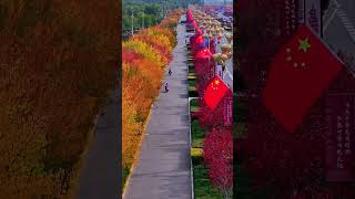 The streets of Ordos are picturesque AutumnInOrdos Kangbashi NorthernWings [upl. by Oak]