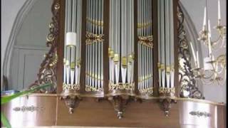 Nederlandse Protestantse Kerk  Orgel [upl. by Earal84]