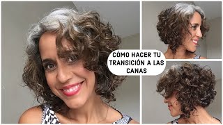 CÓMO HACER TU TRANSICIÓN A LAS CANAS  CONSEJOS  GREY HAIR [upl. by Ezechiel]