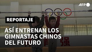 De la cuna a los Juegos Olímpicos así entrenan los futuros gimnastas chinos  AFP [upl. by Lraep515]