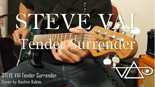 STEVE VAI  Tender Surrender  Guitar Cover [upl. by Kcirdneh]