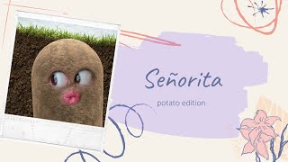 Señorita  potato edition [upl. by Eignav]