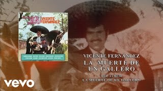 Vicente Fernández  La Muerte de un Gallero Cover Audio [upl. by Arat]