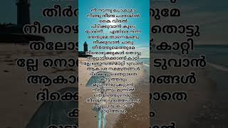 Nee nadannu pokuma malayalamlyrics song viral [upl. by Chenee]